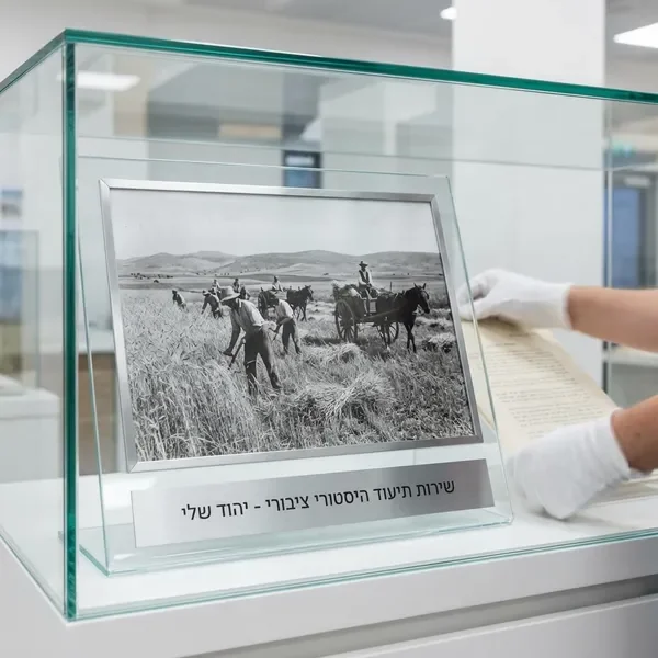 חקלאים עובדים בשדות יהוד בעונת הקציר